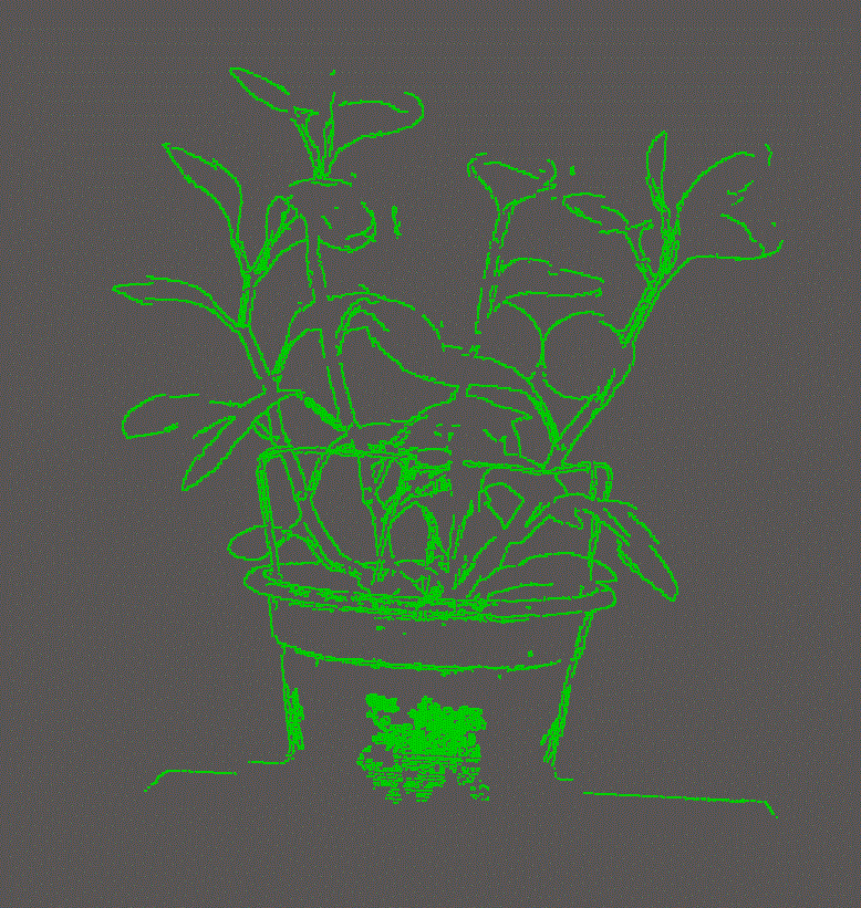 機(jī)器視覺(jué)